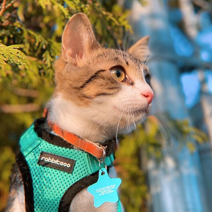 rabbitgoo Cat Harness and Leash Set, Escape Proof Vest, Emerald | Soft Breathable Mesh, Easy Adjustable Fit, Snap Buckles, Sturdy Clip, Reflective Strips, for Kittens & Small Cats Walks, Xxs