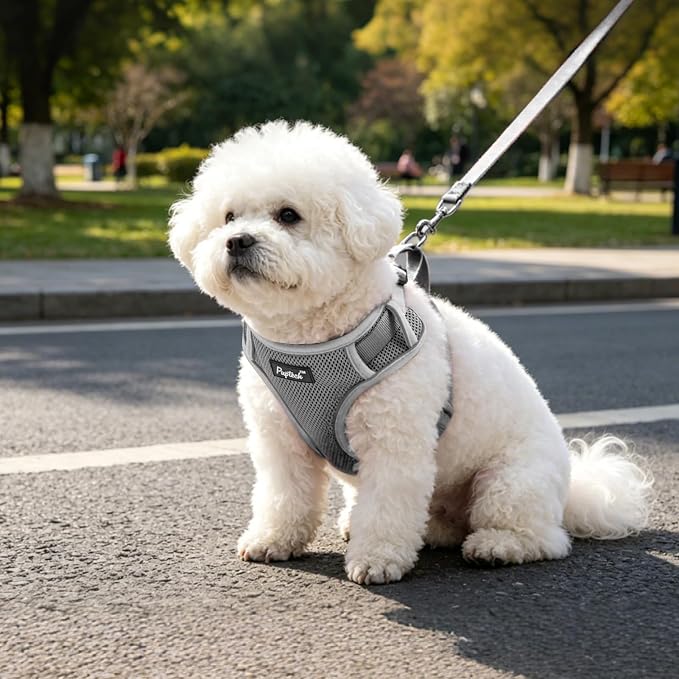 PUPTECK Dog Harness and Leash Set, No Pull Adjustable Pet Small Dog Harness, Reflective Soft Mesh Pet Vest, for Small Medium Dogs Walking, Grey, XS