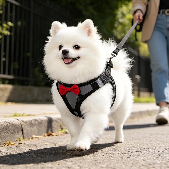 PUPTECK Dog Harness and Leash Set for Small Medium Dogs No Pull Step-in Soft Mesh Puppy Cat Vest Harnesses Reflective at Night, Black Bow Tie
