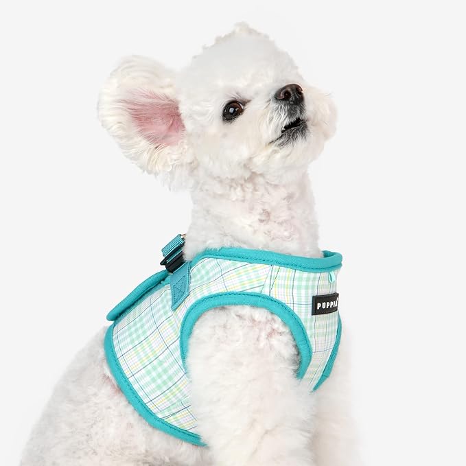 Puppia Luke Step-in Vest Dog Harness No Choke No Pull Walking Training for Small and Medium Dog - Aqua - S