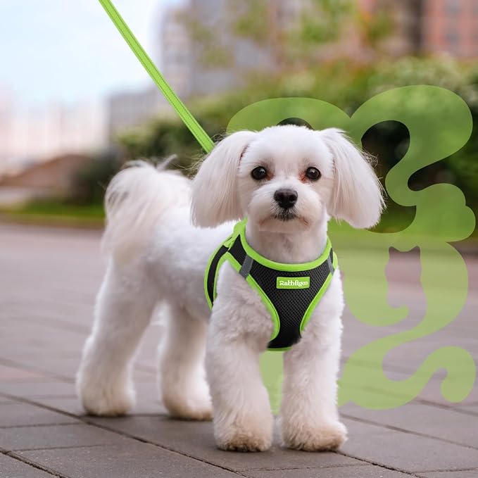 rabbitgoo Dog Harness Small Sized and Leash Set, Step in Soft Vest | Breathable Mesh, Easy Wear with Hook & Loop, Light and Reflective for Walking, Multi-colored, Black & Green, M