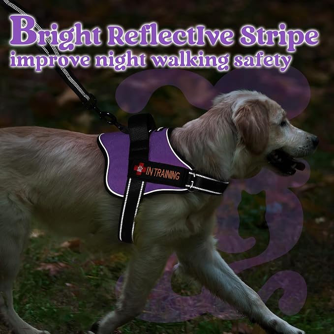 rabbitgoo No Pull No Choke Pet Vest, Adjustable Pet Harness with Molle | Medium Sized Dog Harness, Reflective, Easy Wearing with One Buckle for Walking, Training, Purple, M