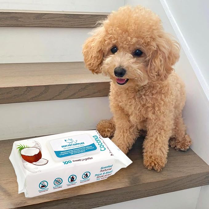 Best Pet Supplies Coconut-Scented Grooming Wipes, 100 Count