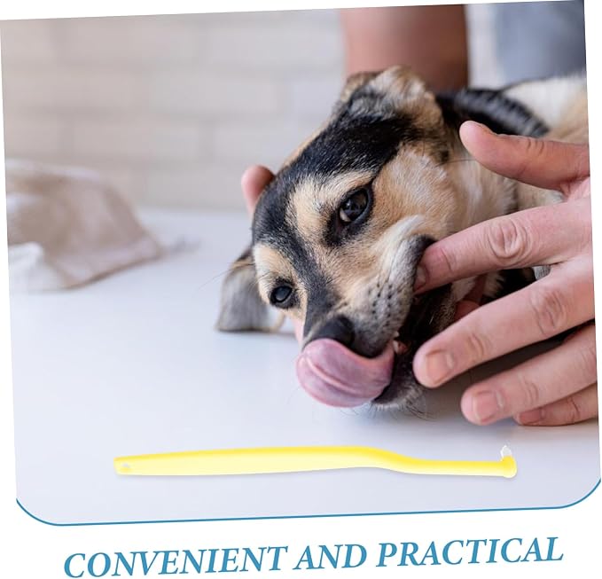 Soft Mini Head PET Toothbrush for Dogs and Cats Long Handle Oral Cleaning Tool Gentle Bristles for Small Breeds and Kittens for Regular Oral Hygiene