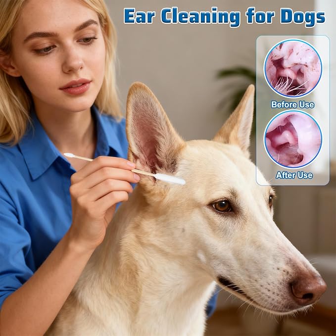 100PCS Long Cotton Dog Ear Swabs Double Sided Dog Ear Swabs 6 Inch Long Cotton Swab Large Double Sided Gentle Lint-Free Clean Wood Buds for Pet Dogs Ears Cleaning Wax Removal