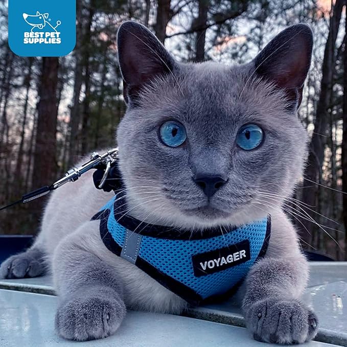 Voyager Step-in Air Dog Vest Harness - Baby Blue/Black Trim, Small | 14.5-16" in Chest, Reflective Bands, All Weather Breathable Air Mesh, Cats Compatible, Lightweight, Fast Drying