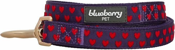 Blueberry Pet Valentine's Day Dog Leash, Velvety Soft-Touch Heart Flocking Lead for Medium Dogs, Gothic Grape, 5 ft x 3/4"