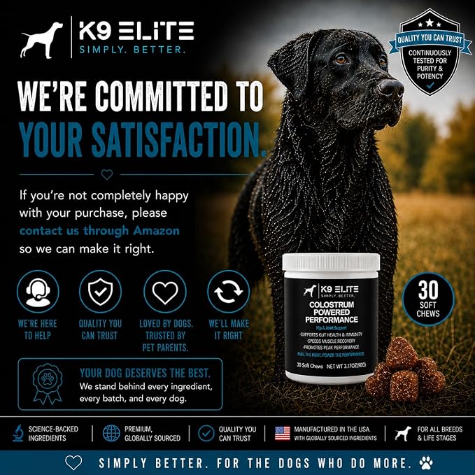 Hip & Joint Supplement for Dogs – Glucosamine, Chondroitin, Green Lipped Mussel, Colostrum, Collagen & Omega-3 – Daily Joint, Mobility, Gut & Immune Support –