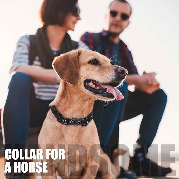 Fida Heavy Duty Dog Collar for Medium Dogs with Metal Belt Buckle, Black | Soft Neoprene Padded for Extra Comfort, Thicker Nylon Webbing, Adjustable Fit, Reflective Stitching for Night Safety