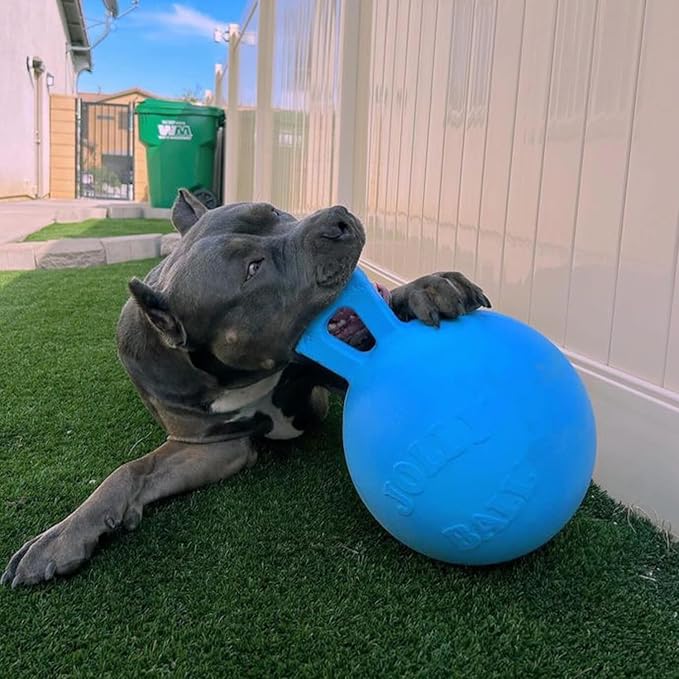 Jolly Pets Tug-n-Toss Heavy Duty Dog Toy Ball with Handle, 8 Inches/Large, Blueberry