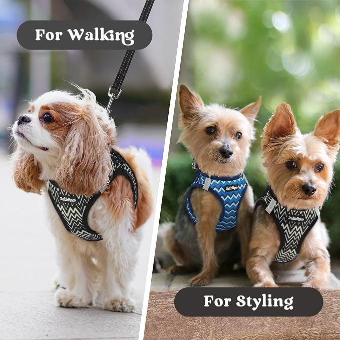 rabbitgoo Step-in Small Dog Harness, Puppy Vest for Small Sized Pet | Easy Put on and off, Lightweight, Soft, Breathable Quick-Dry Air Mesh for Comfortable Secure Walking, Black Zigzag S