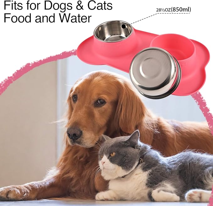 Dog Bowls 2 Stainless Steel Bowl for Pet Water and Food Feeder with Non Spill Skid Resistant Silicone Mat for Pets Puppy Small Medium Cats Dogs