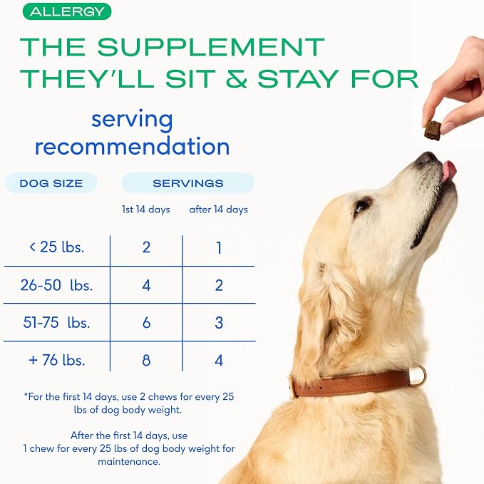 Native Pet Dog Allergy Chews (60 Count) & Yak Chews for Dogs (5 Small Count) - Natural Dog Skin Itchiness Aid and All Natural Dental Sticks Made with Yak Cheese for Aggressive Chewers