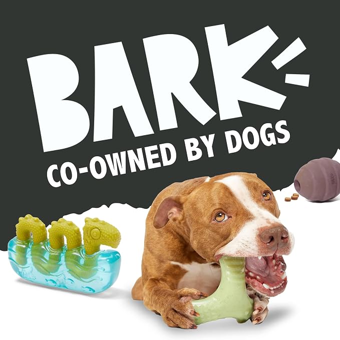 BarkBox Acornucopia Treat Dispensing Indoor/Outdoor Chewer Toy, Large