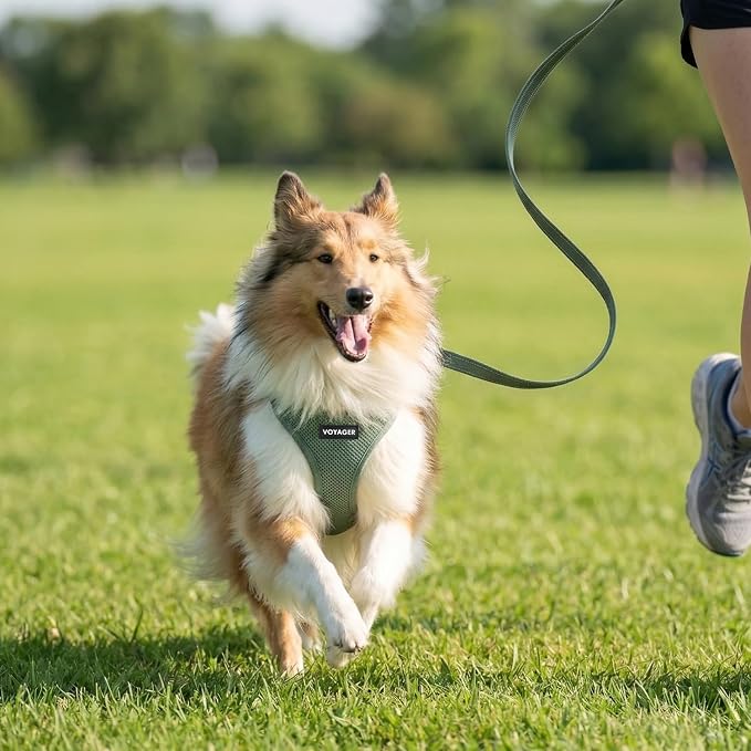 Best Pet Supplies Voyager Step-in Air All Weather Mesh Harness and Reflective Dog 5ft Leash Combo with Neoprene Handle, for Small, Medium and Large Breed Puppies - Moss Green, X-Large