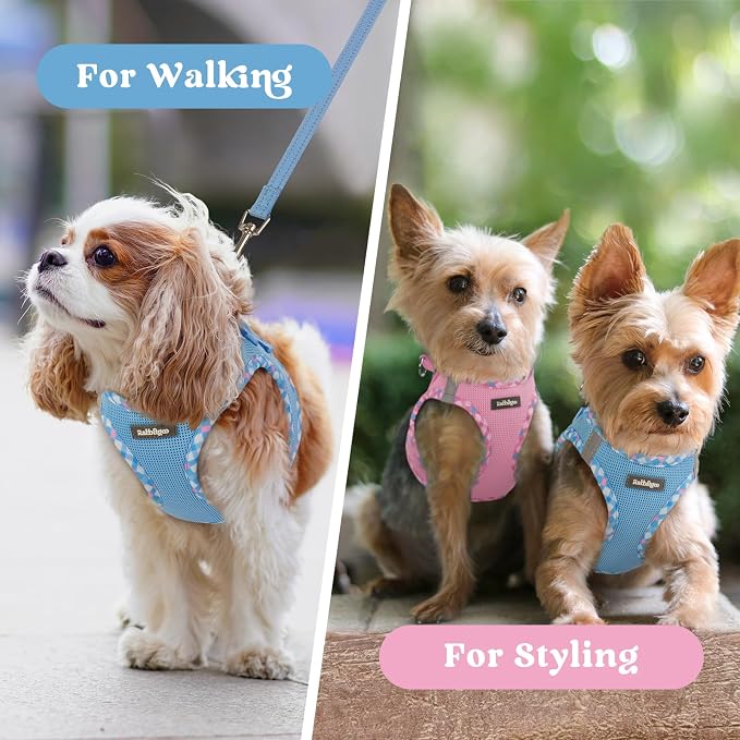 rabbitgoo Step-in Small Dog Harness, Puppy Vest for Small Sized Pet | Easy Put on and off, Lightweight, Soft, Breathable Quick-Dry Air Mesh for Comfortable Secure Walking, Blue & Plaid Trim S