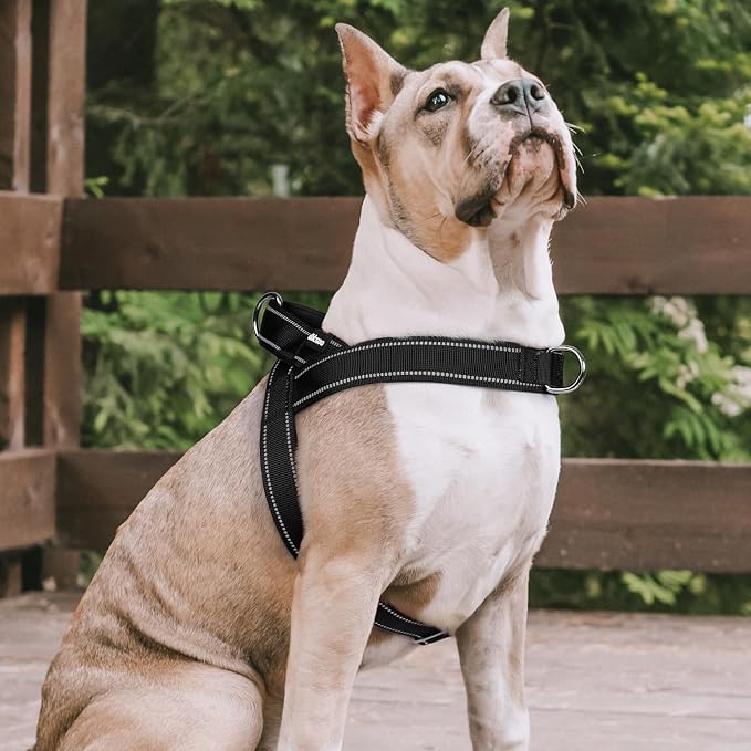 rabbitgoo Dog Harness No Pull, Quick Fit for Medium Sized Dog, Reflective | Chest Adjustable Pet Vest with Soft Padded Handle, No Choke Escape Proof for Walking Training, Black M