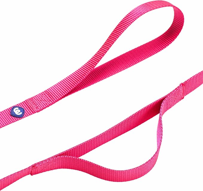 Blueberry Pet Essentials Double Handle Dog Leash for Traffic Control | 5ft. x 3/4" Medium Dog Leash | Classic Dog Leash with Two Handles for Dogs That Pull | Nylon 2 Handle Dog Leash in French Pink