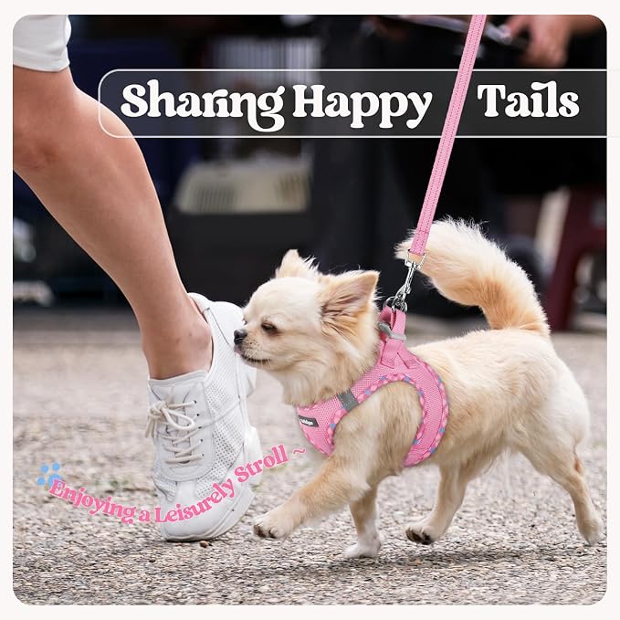 rabbitgoo Dog Harness Small Sized and Leash Set, Step-in Puppy Pet Vest | Light, Soft, Breathable Air Mesh, Easy on and Remove with Hook & Loop, Secure Reflective for Walking, Pink & Plaid Trim M