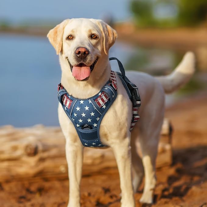 rabbitgoo Dog Harness, No Pull Medium Sized with 2 Leash Clips, Pet Vest | No Choke with Handle, Adjustable Soft Padded, Reflective, Easy Control for Walking, Blue Star, Medium