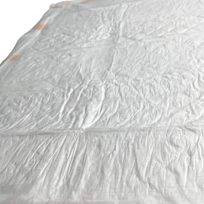 WizSmart Heavyweight Dog Pee Pads for Large Dogs, Puppies, Seniors – Ultra Absorbent, Leak Proof, Odor Control, Quick Dry, Training Pads with Stay Put Tabs – 23.5" x 22", 10 Cup Capacity