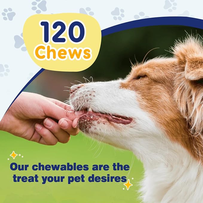 ZEBORA Omega 3 Salmon Oil for Dogs, Healthy Skin & Coat, 120 Chews