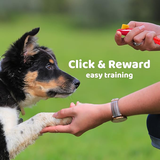 Downtown Pet Supply Training Clickers, 2 Pack