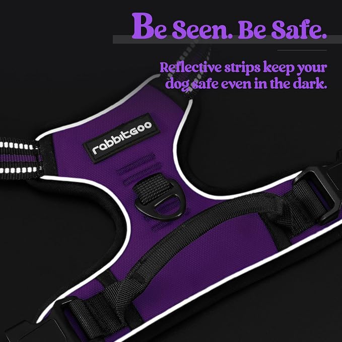 rabbitgoo Dog Harness, No Pull for Small Dogs with 2 Leash Clips, Pet Vest | No Choke with Handle, Adjustable Soft Padded, Reflective, Easy Control for Walking, Purple, Small