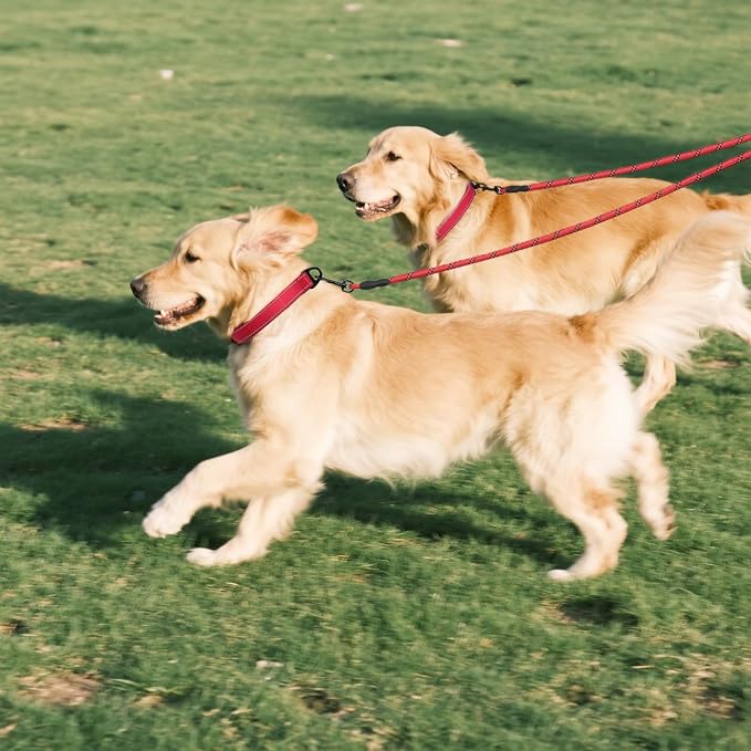 Taglory Double Dog Leash Coupler for Two Dogs, 1/3" Lightweight Dual Leash Extension for Small and Medium Dogs, No Tangle 360° Swivel, Reflective Rope, 30 Inch, Red