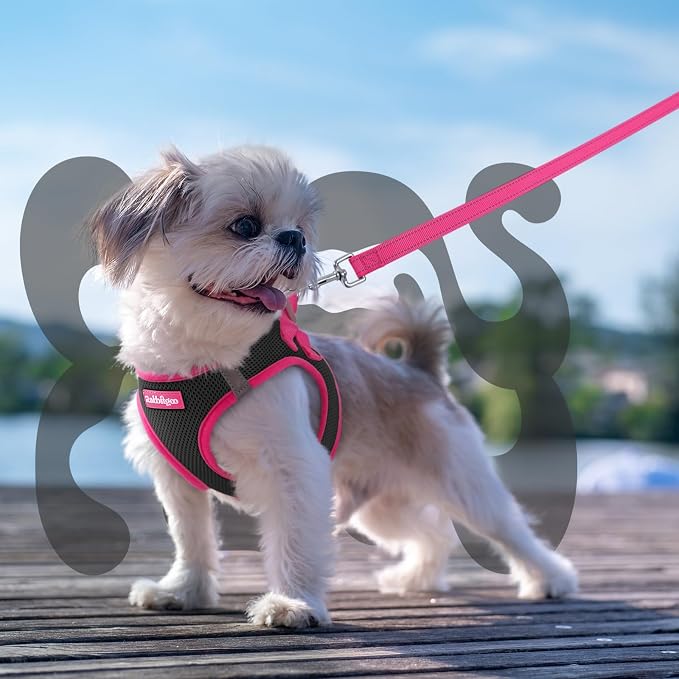 rabbitgoo Dog Harness Small Sized and Leash Set, Step in Soft Vest | Breathable Mesh, Easy Wear with Hook & Loop, Light and Reflective for Walking, Multi-colored, Black & Rose Red, XS