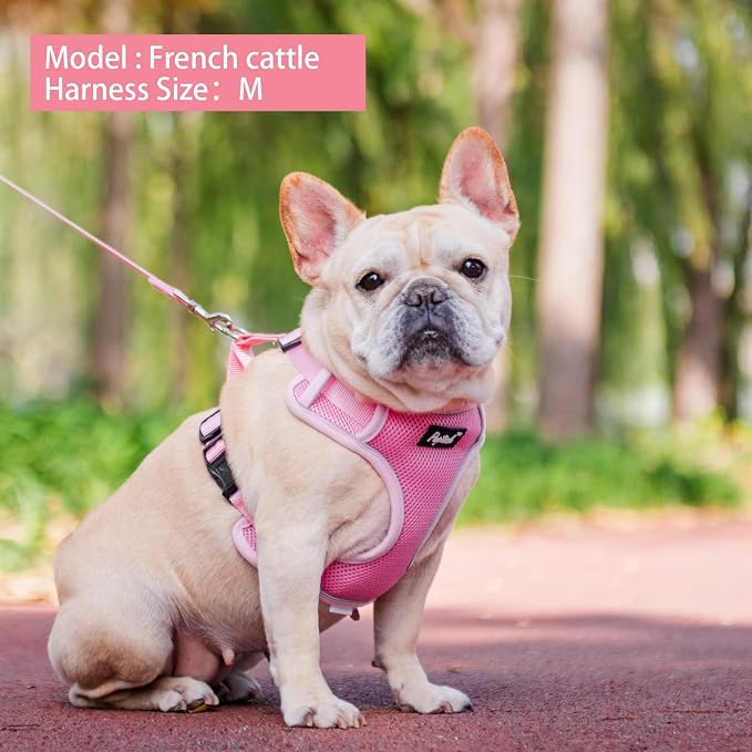 PUPTECK Small Dog Harness and Leash Set, No Pull Adjustable Puppy Cat Harness, Reflective Soft Mesh Pet Vest Small Sized, Pink, S