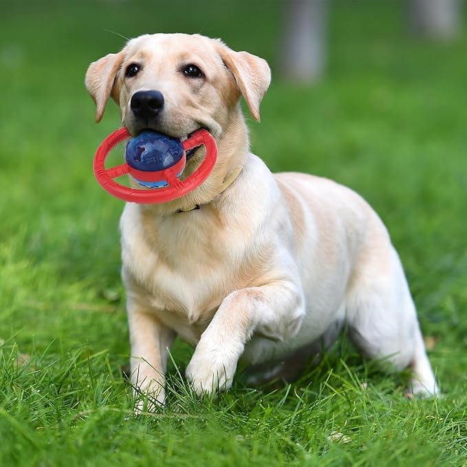Treat Dispensing Dog Toys, Slow Feeder for Health Eating, Interactive Dog Toys for Boredom, Durable Dog Food Puzzle for Small Medium Dog to Keep Them Busy