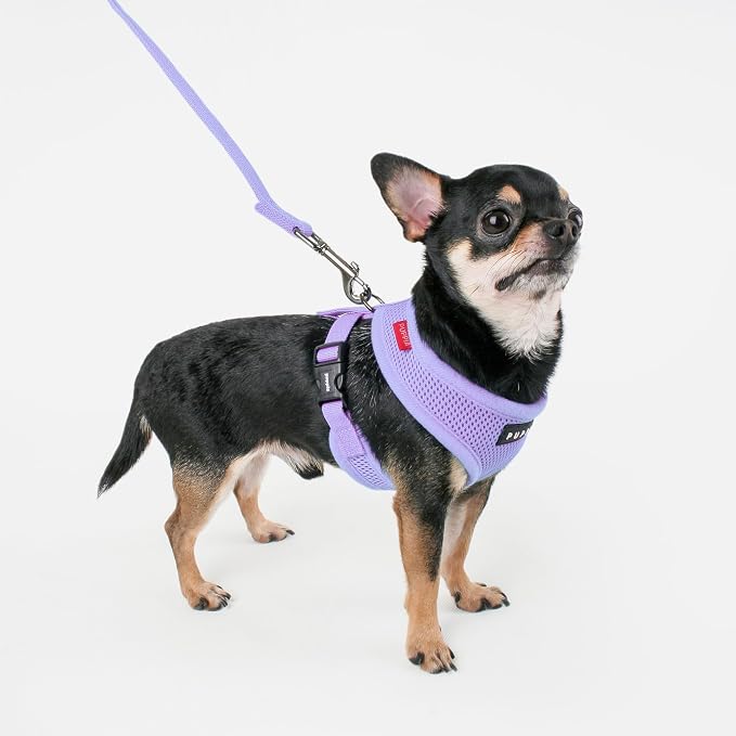 Puppia Soft Dog Harness No Choke Over-The-Head Triple Layered Breathable Mesh Adjustable Chest Belt and Quick-Release Buckle, Violet, Large