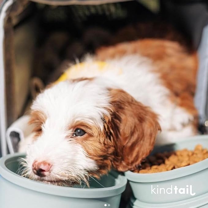 KindTail Dog Travel Bowls, Set of 2, with Lid & Handle