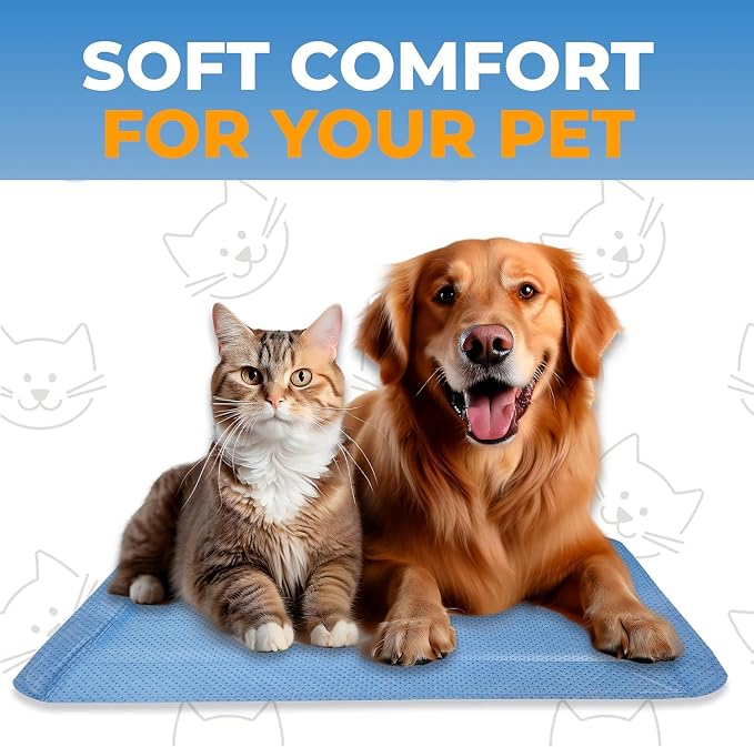 Skywin Pet Carrier Pads, 6 Pack Cat Carrier Pad Insert 19.5" x 12.5", Disposable Small Cat Carrier Liner Pad, Puppy Training Pads(Blue)