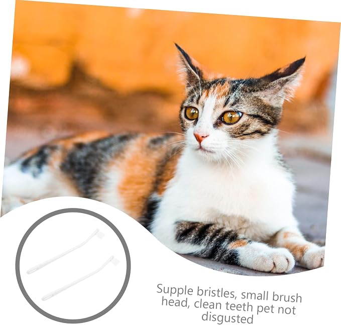 GANAZONO 2pcs Home Pet Toothbrushes Cat Dog Soft Bristle Toothbrush Fine Workmanship