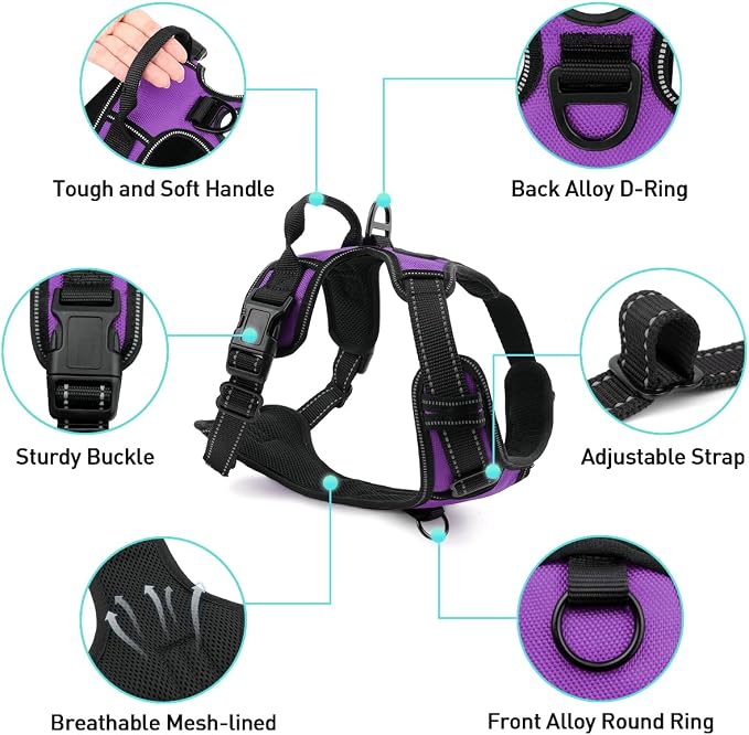 6FT Double Handle Dog Leash for Training and Dog Harness (Chest: 14-28"), Reflective Leashes for Medium Dogs and Adjustable Soft No Pull Harness (Purple,M)