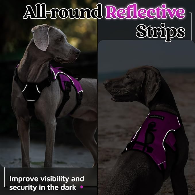 rabbitgoo Escape Proof Dog Harness for Large, No Pull with Lift Handle | No Escape, Full Soft Padded, Reflective Adjustable Vest, Leash Clip for Walking Hiking Training, Purple, Large