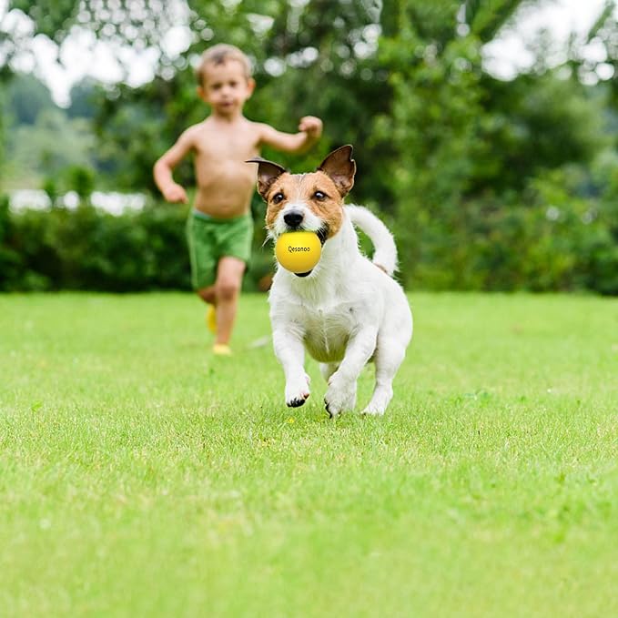 Dog Balls Indestructible, Solid Rubber Bouncy, Large Breed, Yellow