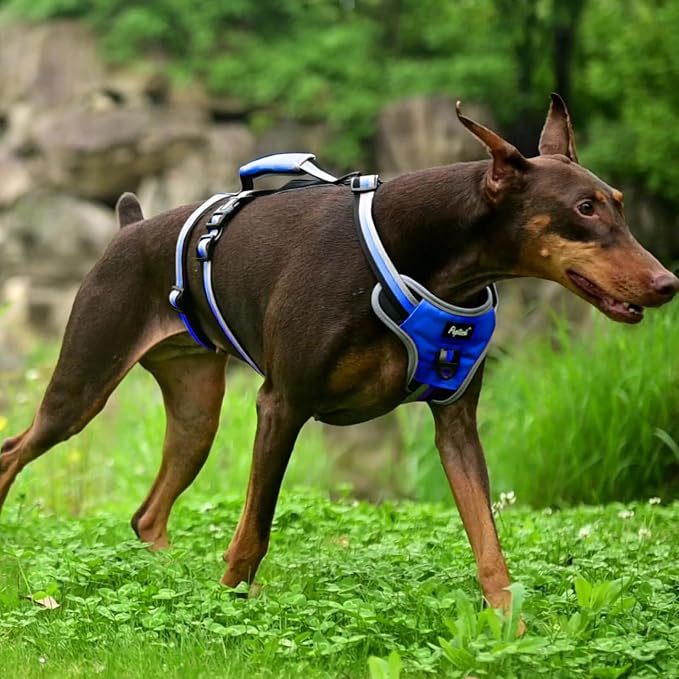 PUPTECK Escape Proof Dog Harness with Padded Handle, No Pull Pet Vest Harness Durable Reflective for Medium Large Dogs Walking Training and Running, Navy Blue, XL