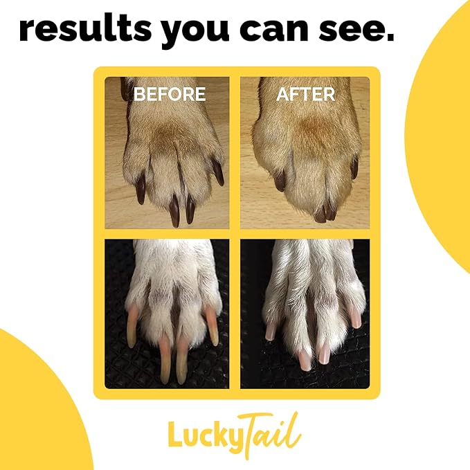LUCKY TAIL Dog Nail Grinder Replacement Head, 1-Pack