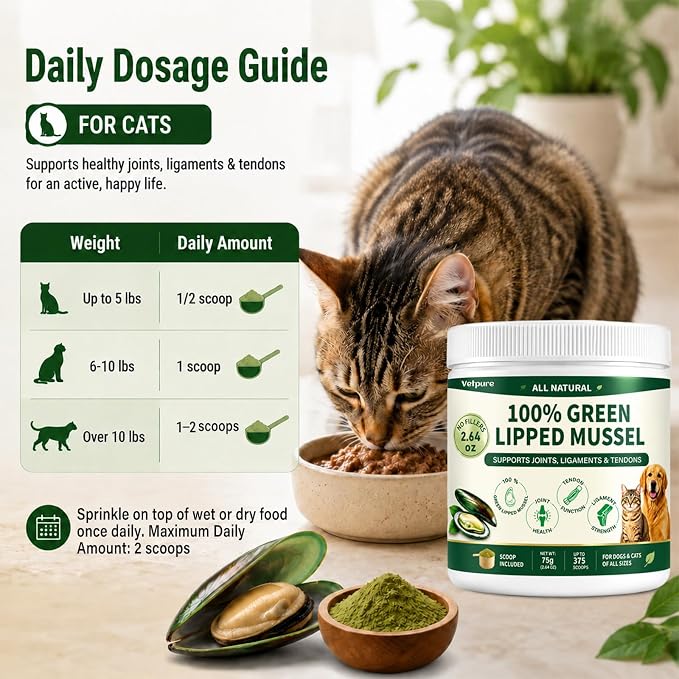Pure Green Lipped Mussel Powder for Dogs & Cats – 100% Natural Hip & Joint Supplement Powder Supports Joints, Tendons, Ligaments & Muscles – 75 Grams – Up to 375 Servings
