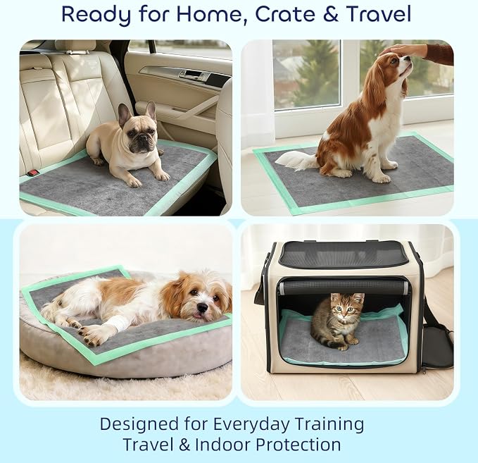 Pawtasy Charcoal Dog Pee Pads, 100 Count,22" x 22" Small Disposable Puppy Training Pads with Bamboo Charcoal Odor Control, 5-Layer Super Absorbent & Leak-Proof Pet Potty Pads for Dogs, Cats & Pets