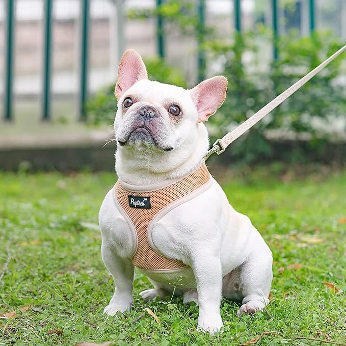 PUPTECK Soft Mesh Dog Harness and Leash Set Pet Puppy Cat Comfort Padded Vest No Pull Harnesses, Solid Beige, S