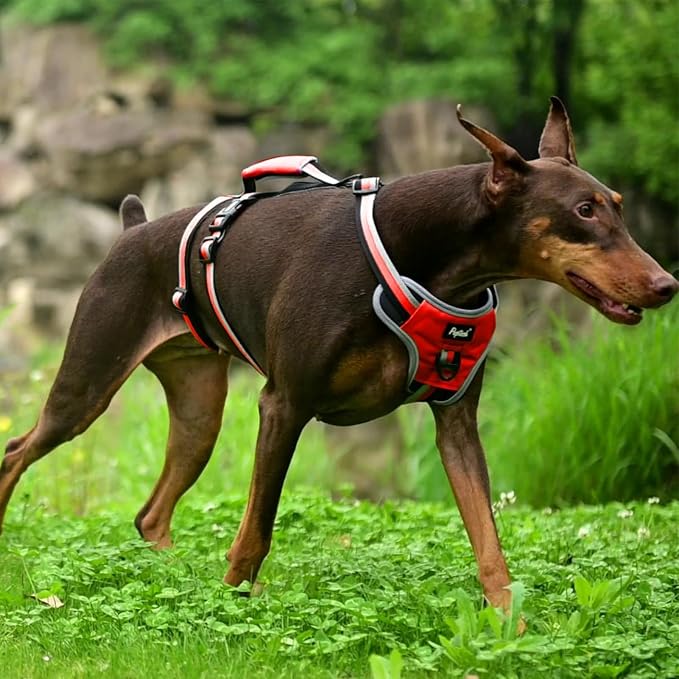 PUPTECK Escape Proof Dog Harness with Padded Handle, No Pull Pet Vest Harness Durable Reflective for Medium Large Dogs Walking Training and Running, Red, M