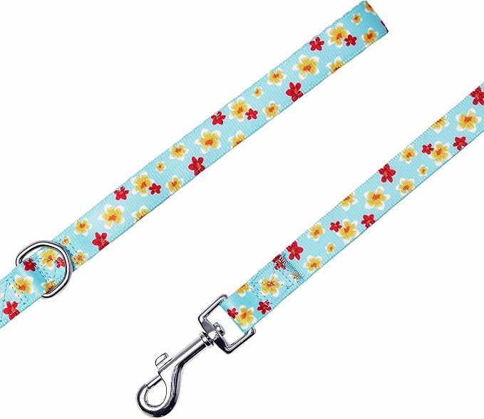Blueberry Pet Fragrant Plumeria Dog Leash, Aqua, 5 ft x 5/8", Small, Leashes for Dogs