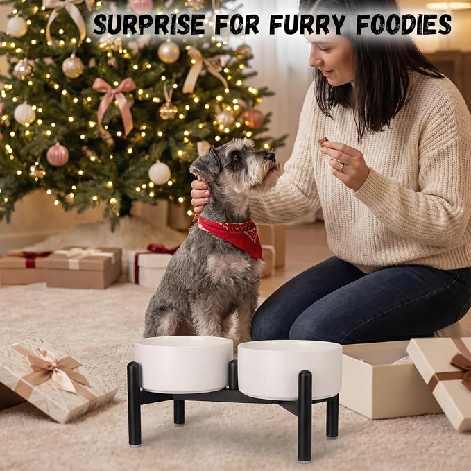 Raised Ceramic Dog Bowl Set - Elevated Double Dishes with Stainless Steel Stand - Food and Water Bowls for Small to Medium Dogs - Each Holds 3.5 Cups (29.57 fl oz) - Green