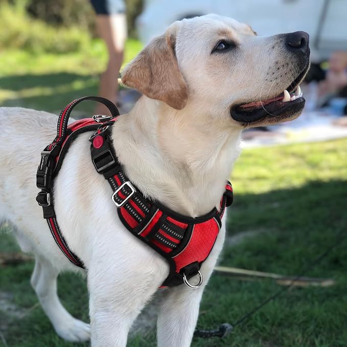 rabbitgoo Dog Harness for Large, No Pull 3 Buckles Easy On & Off | Soft Padded, Walking with Control Handle, Adjustable and Reflective, Red, Large