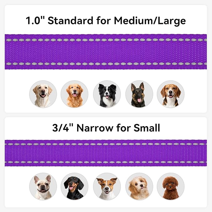 Joytale Reflective Dog Leash for Medium & Large Dogs, 6 FT x 1", Purple | Heavy Duty Nylon Webbing, Padded Handle for Comfort, Visible at Night, for Walking & Training