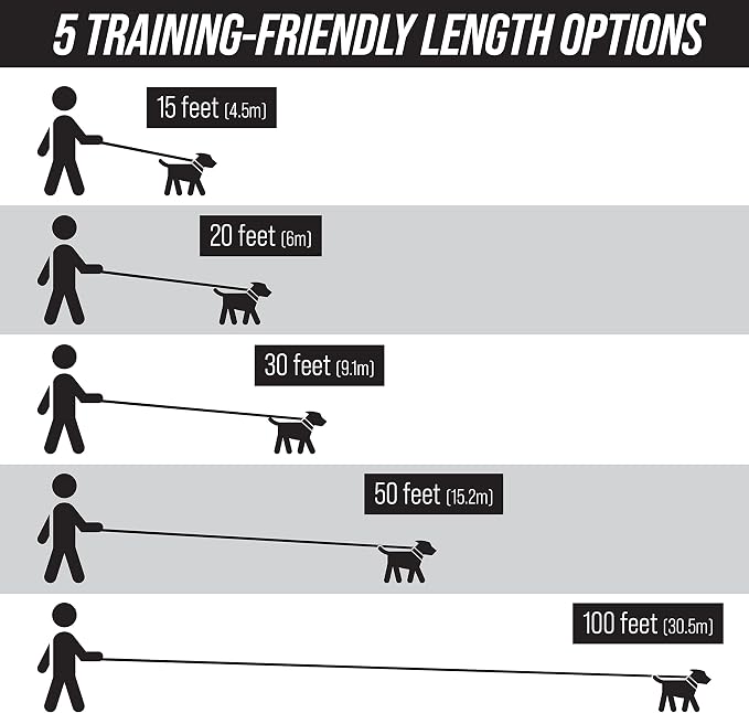 Leash Boss Free Range - Long Dog Leash for Large Dogs + Drawstring Backpack - 1 Inch Nylon Training Lead with Padded Handle (Black) (100 Ft)